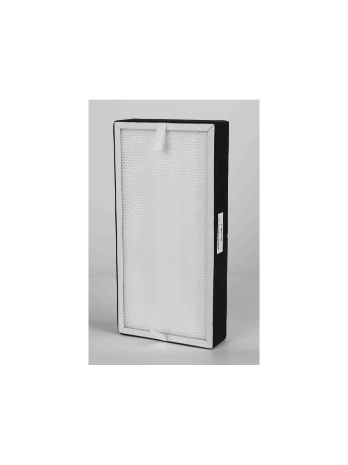 Particle Filter (F8) PC300